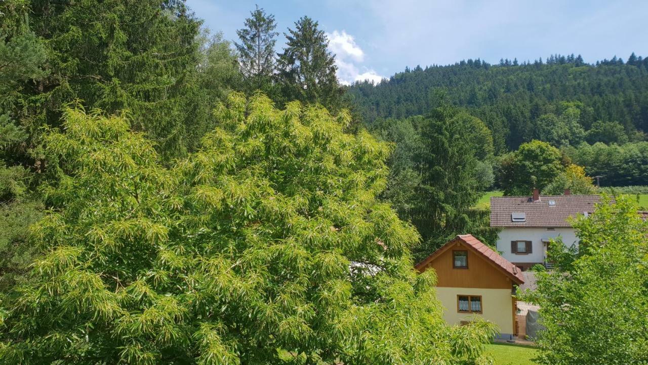 Silberkoenig Schwarzwald Hotel & Restaurant Ringhotel Gutach im Breisgau Exterior photo